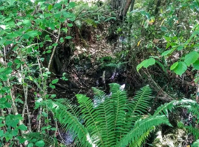 여관 Trisileja En 노발레스