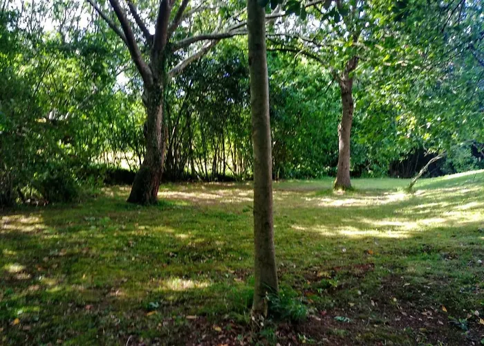 Trisileja En 여관 *